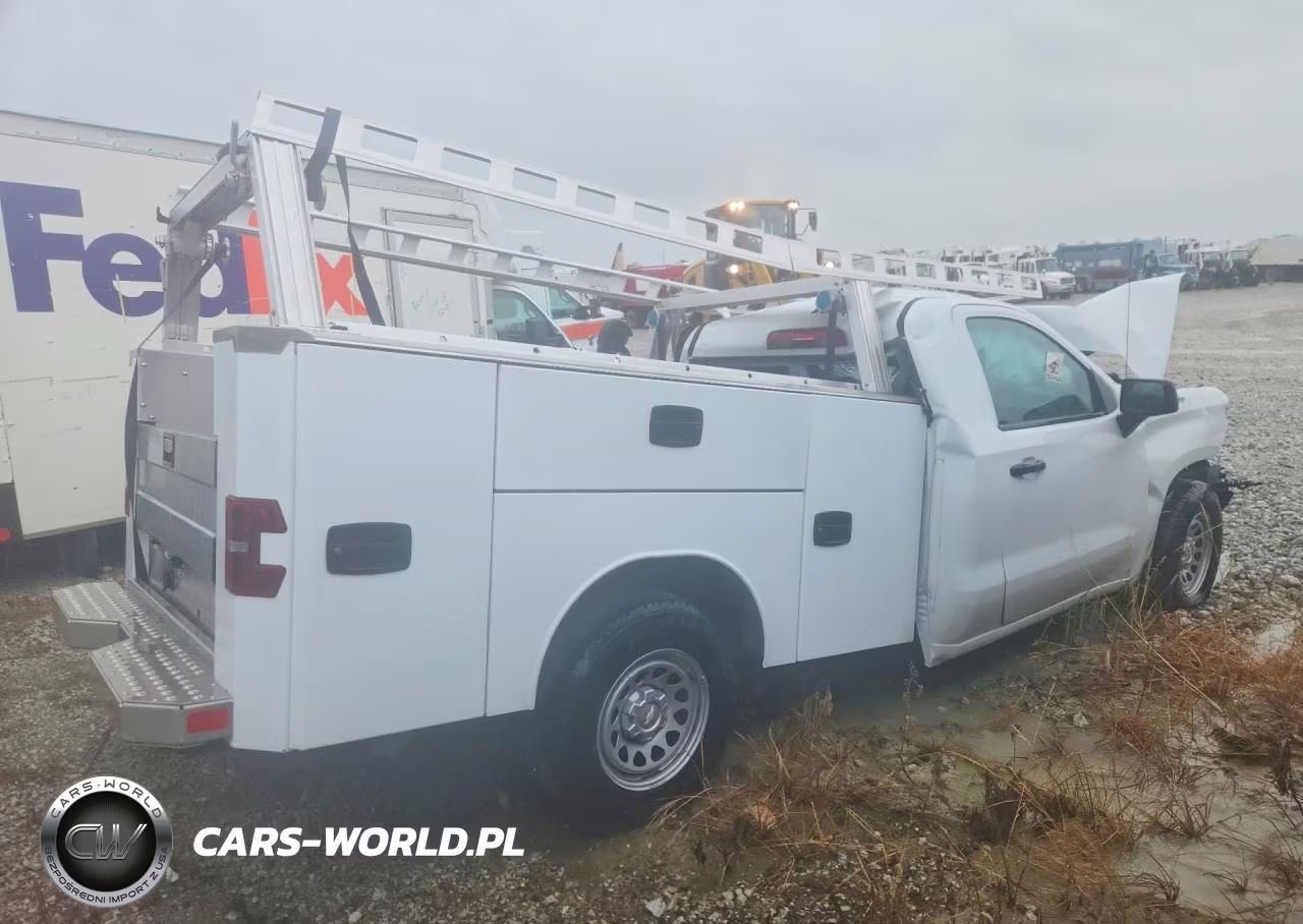 2025 Chevrolet Silverado K1500 VIN:3GCNKAED1SG153115 - 3