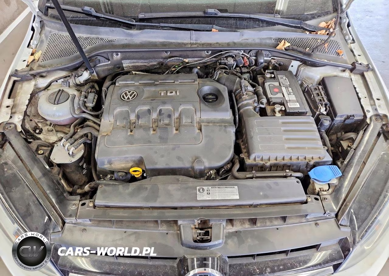 2015 Volkswagen Golf Tdi VIN:3VW2A7AU2FM104380 - 11