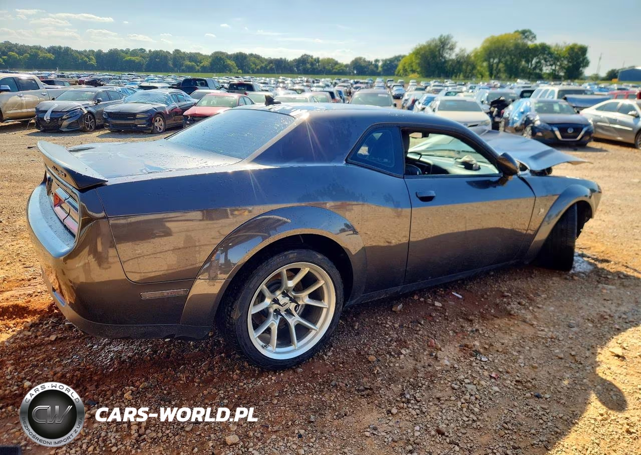 2020 Dodge Challenger R-T Scat Pack VIN:2C3CDZFJ0LH217901 - 3