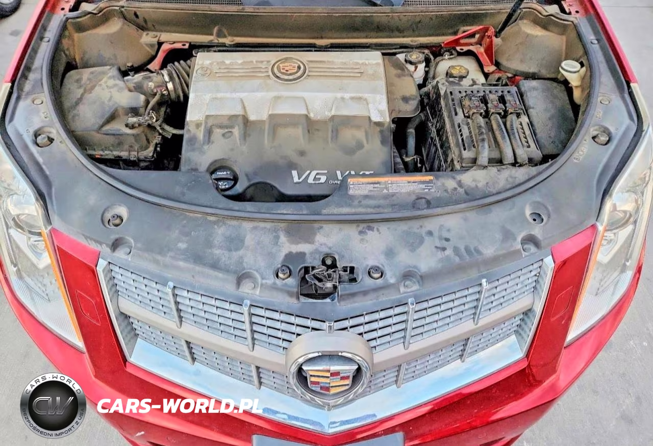 2010 Cadillac Srx Premium Collection VIN:3GYFNCEYXAS501199 - 12