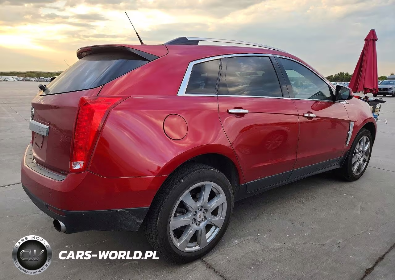 2010 Cadillac Srx Premium Collection VIN:3GYFNCEYXAS501199 - 3