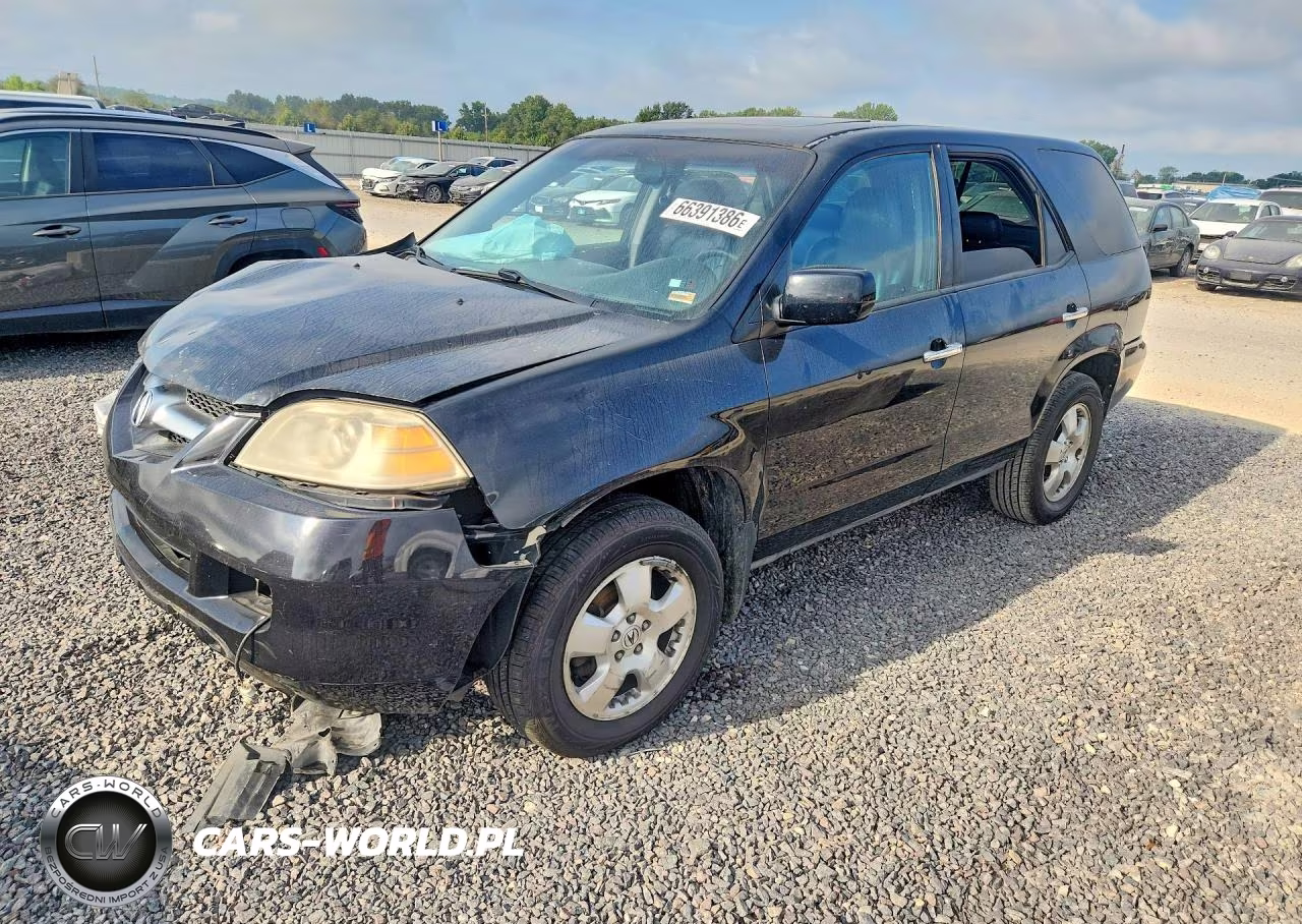 2005 Acura Mdx VIN:2HNYD18205H500899 - 1