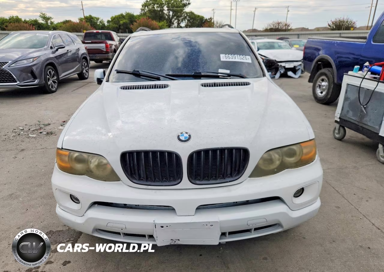2005 BMW X5 4.4I VIN:5UXFB53505LV13391 - 5