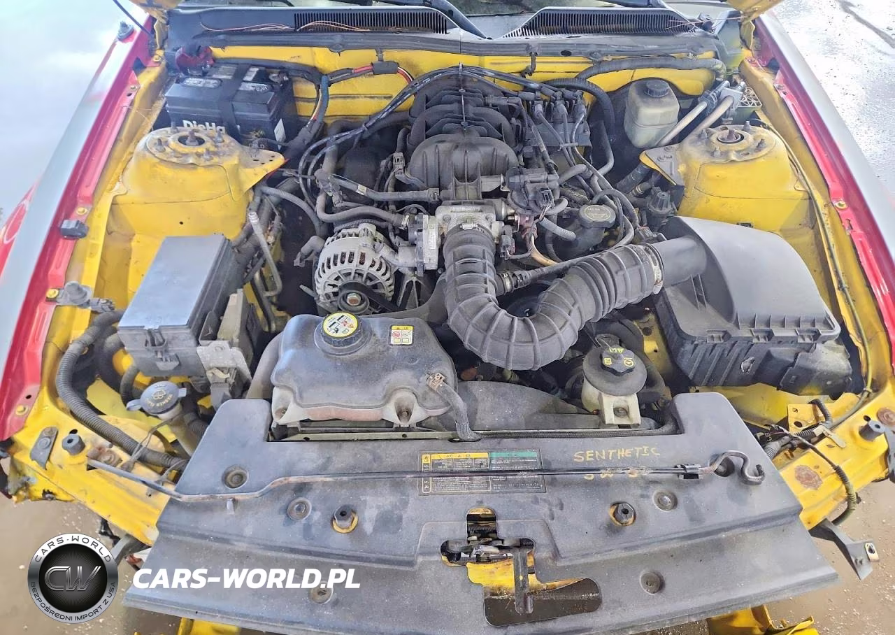 2006 Ford Mustang VIN:1ZVFT80N365207549 - 11