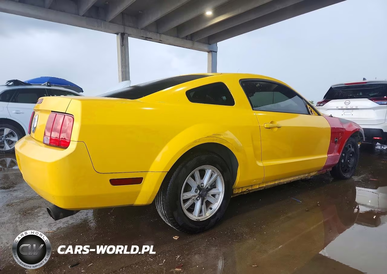 2006 Ford Mustang VIN:1ZVFT80N365207549 - 3