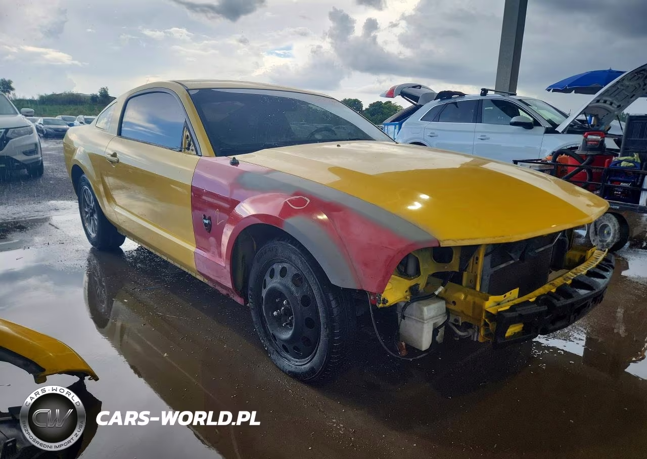 2006 Ford Mustang VIN:1ZVFT80N365207549 - 4