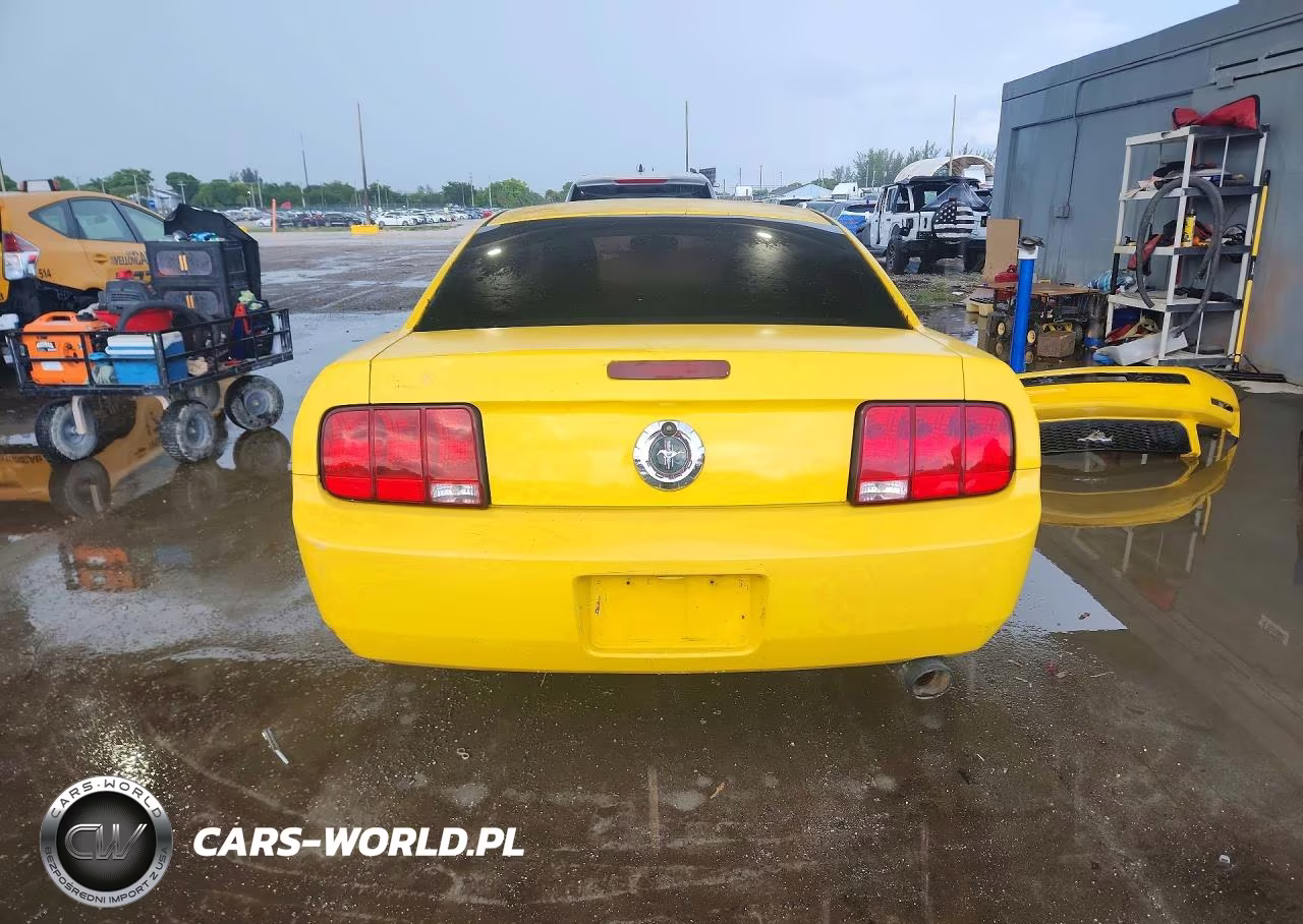 2006 Ford Mustang VIN:1ZVFT80N365207549 - 6