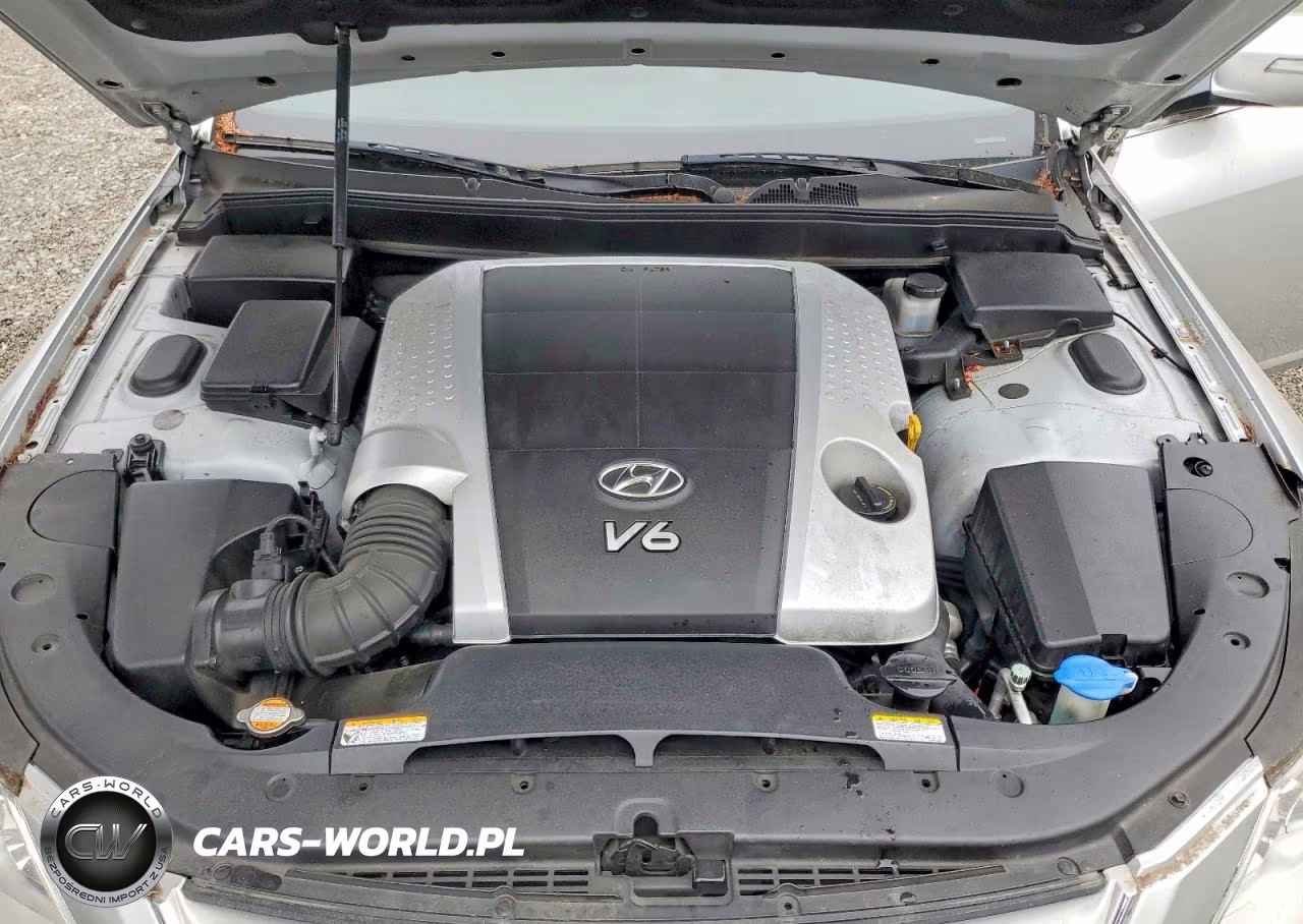 2009 Hyundai Genesis 3.8L VIN:KMHGC46E99U024623 - 11