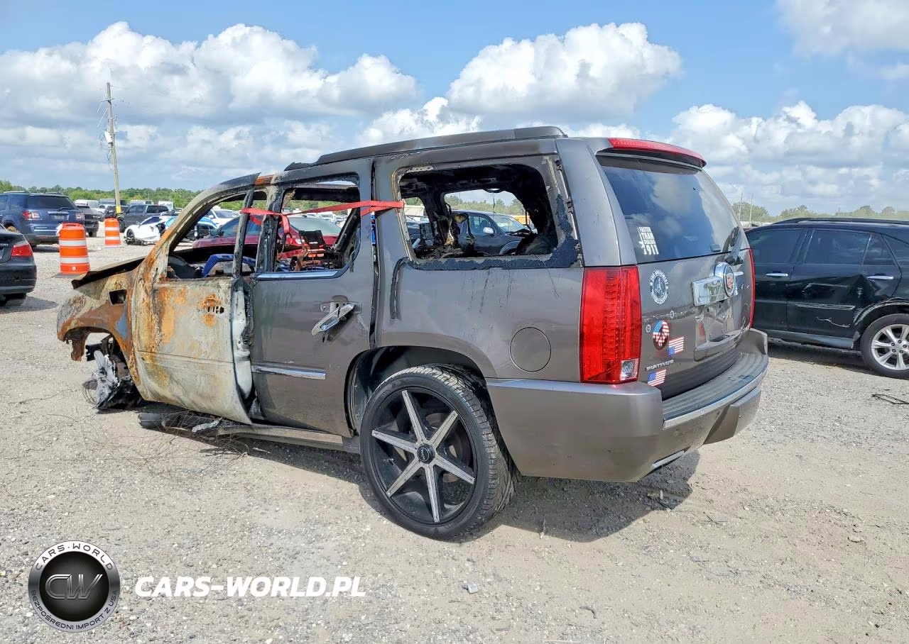 2014 Cadillac Escalade Platinum VIN:1GYS4DEF9ER166189 - 2