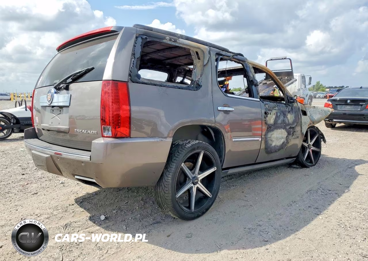 2014 Cadillac Escalade Platinum VIN:1GYS4DEF9ER166189 - 3
