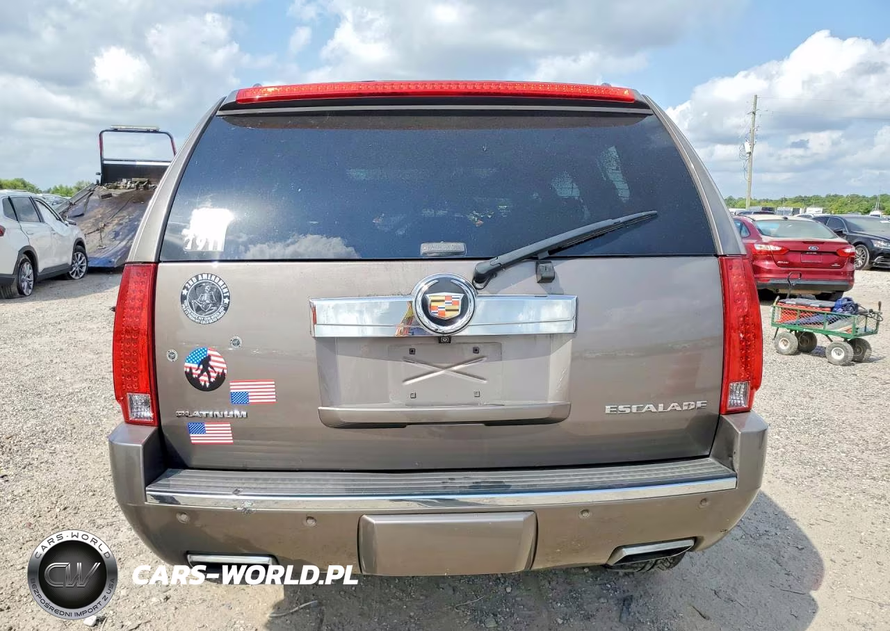 2014 Cadillac Escalade Platinum VIN:1GYS4DEF9ER166189 - 6
