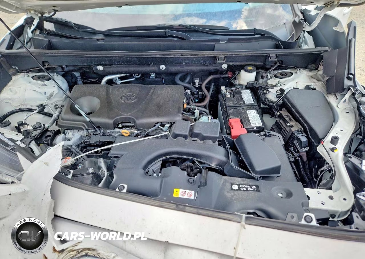 2024 Toyota Rav4 Xle VIN:2T3W1RFV5RC286064 - 12