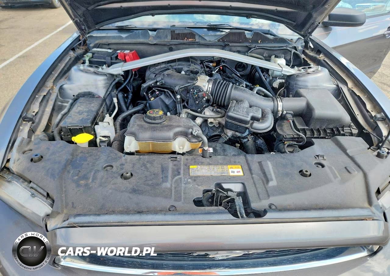 2014 Ford Mustang VIN:1ZVBP8EM5E5229604 - 11