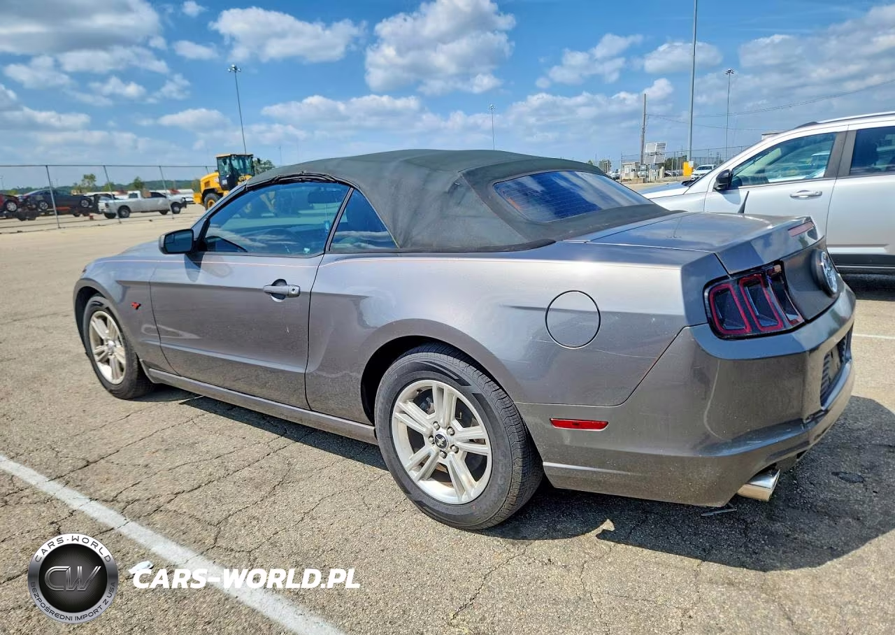 2014 Ford Mustang VIN:1ZVBP8EM5E5229604 - 2