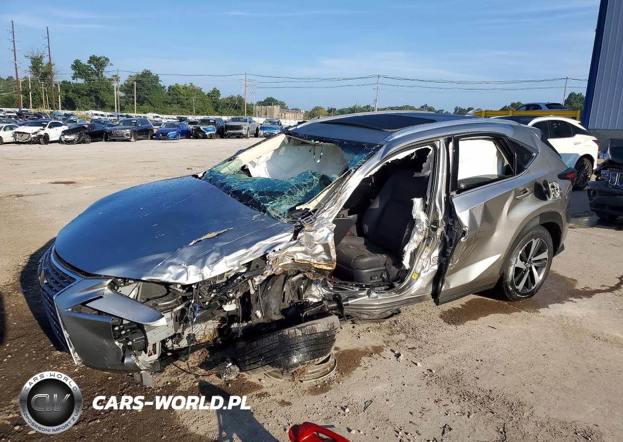 2019 Lexus Nx 300 Base