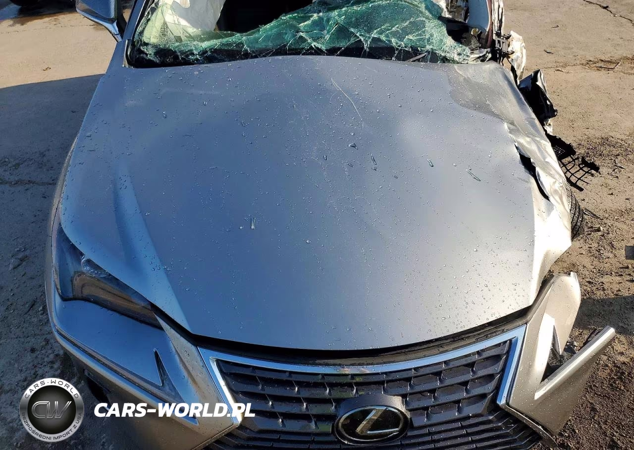 2019 Lexus Nx 300 Base VIN:JTJBARBZ3K2215642 - 12