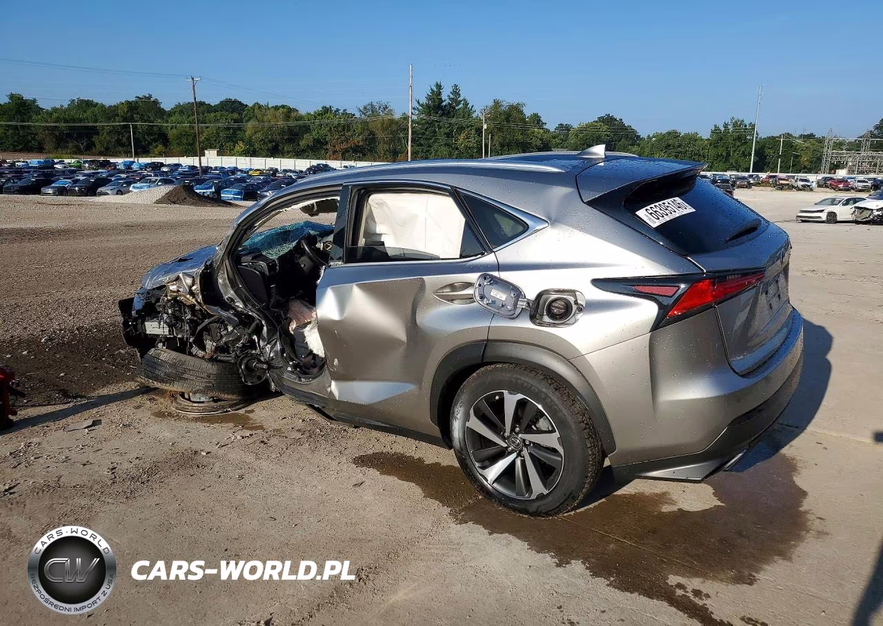 2019 Lexus Nx 300 Base VIN:JTJBARBZ3K2215642 - 2