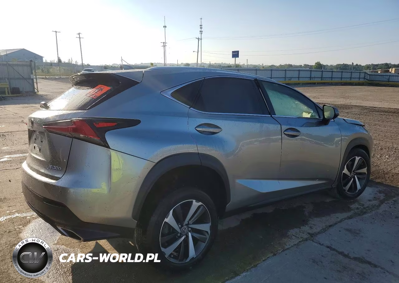 2019 Lexus Nx 300 Base VIN:JTJBARBZ3K2215642 - 3