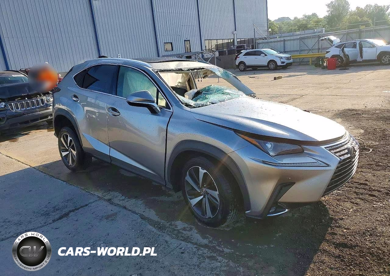 2019 Lexus Nx 300 Base VIN:JTJBARBZ3K2215642 - 4