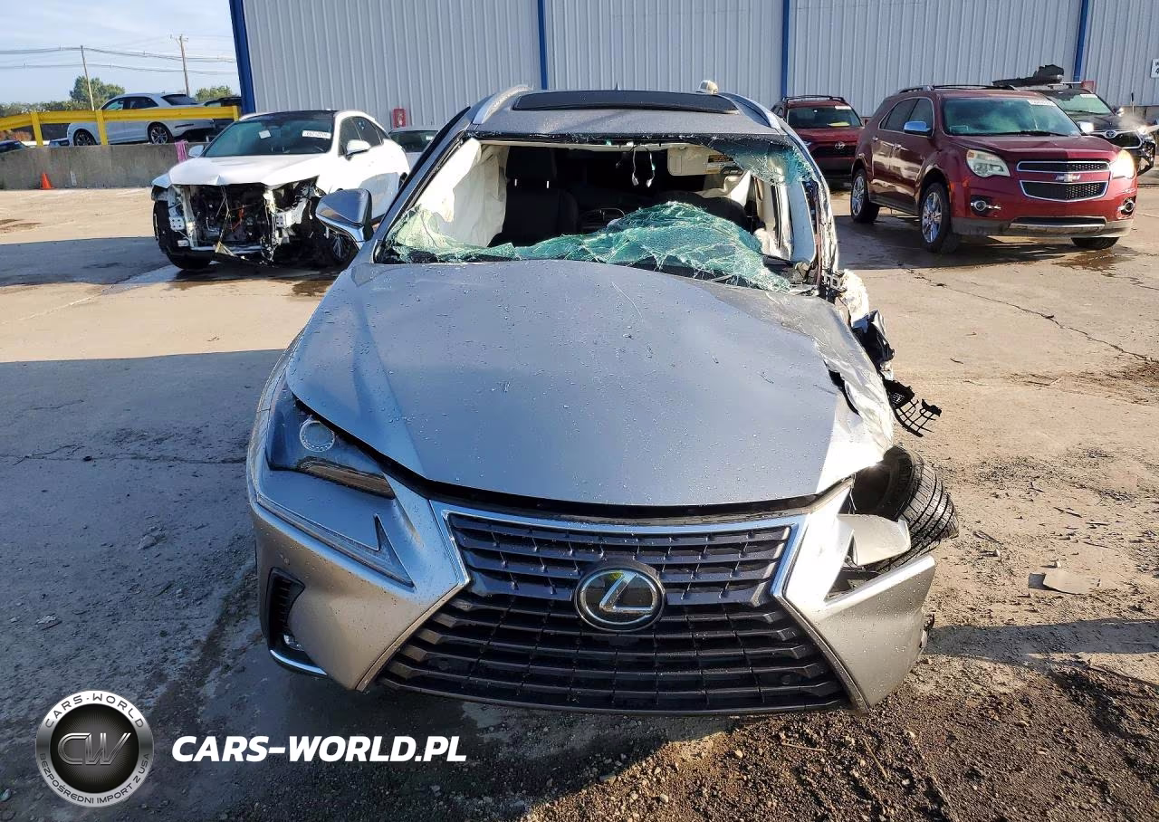 2019 Lexus Nx 300 Base VIN:JTJBARBZ3K2215642 - 5