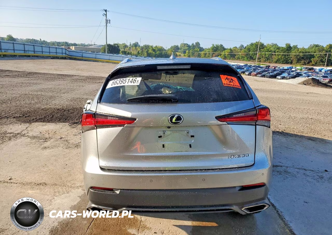 2019 Lexus Nx 300 Base VIN:JTJBARBZ3K2215642 - 6