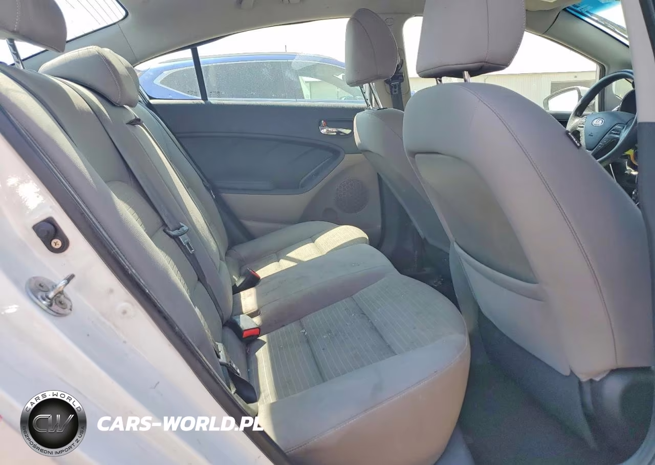 2016 Kia Forte Lx VIN:KNAFX4A65G5504487 - 10