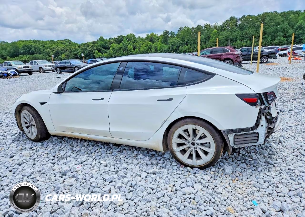 2021 Tesla Model 3 VIN:5YJ3E1EAXMF017787 - 2