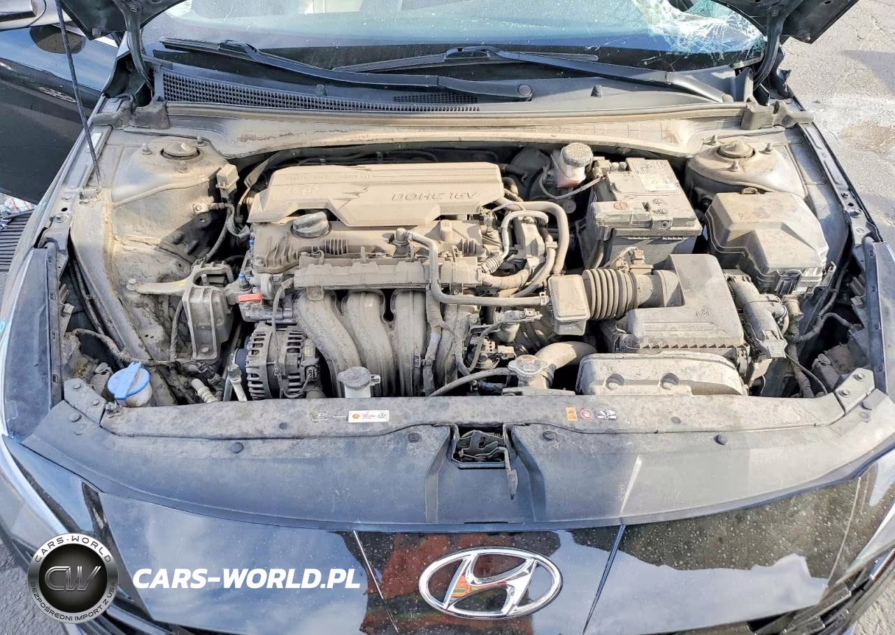 2021 Hyundai Elantra Limited VIN:KMHLP4AG4MU171906 - 11