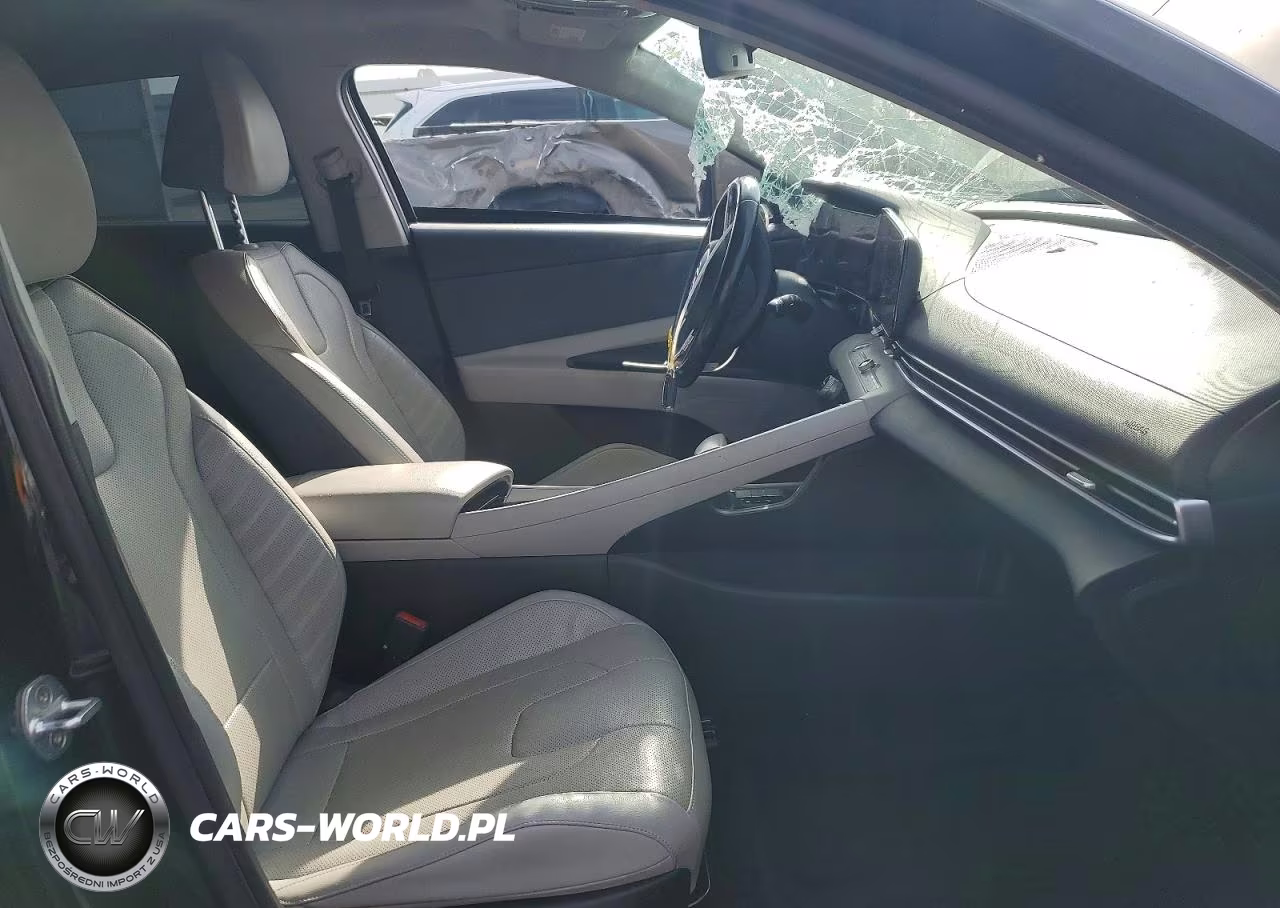 2021 Hyundai Elantra Limited VIN:KMHLP4AG4MU171906 - 7