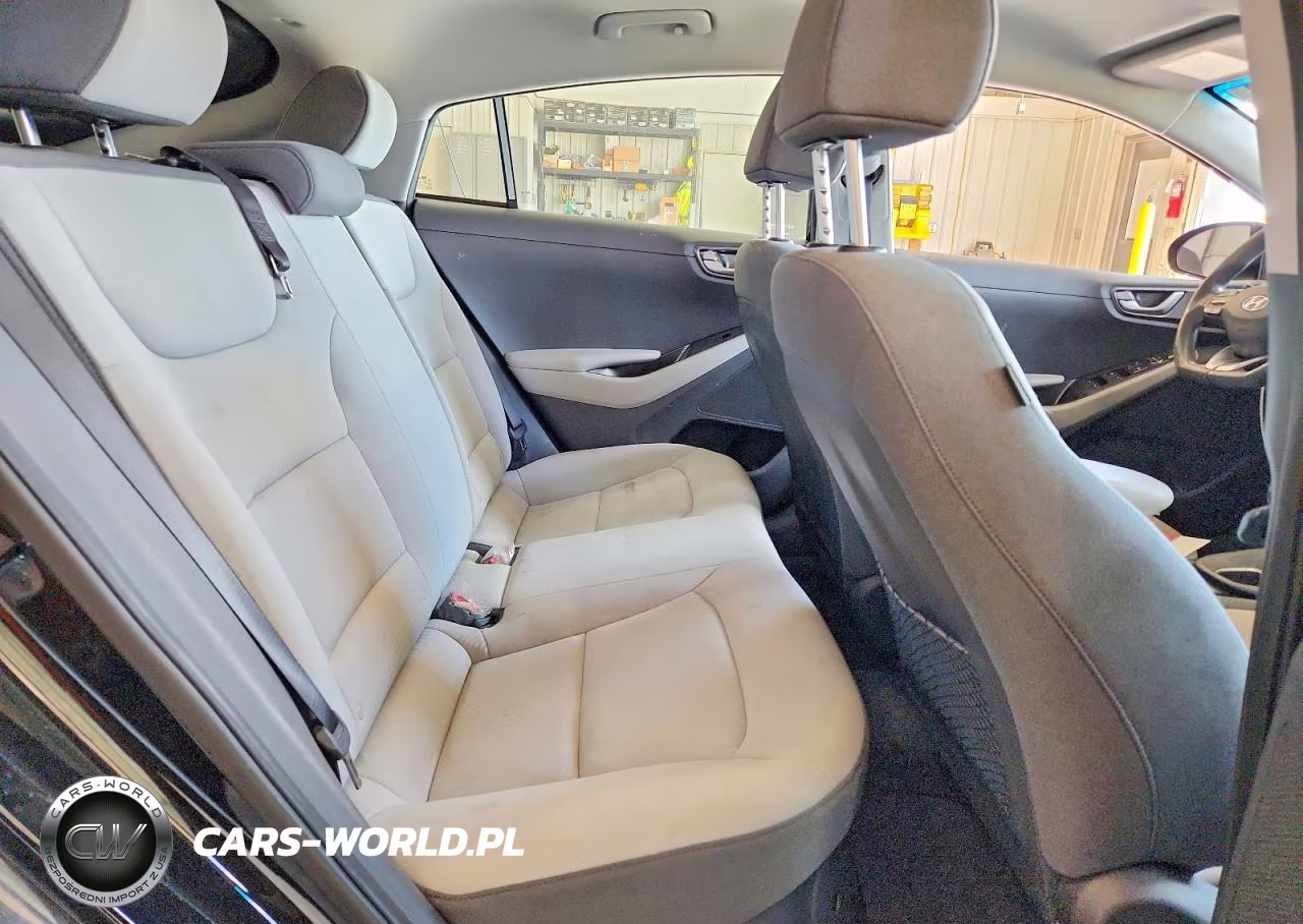 2021 Hyundai Ioniq Blue VIN:KMHC65LC6MU255079 - 10