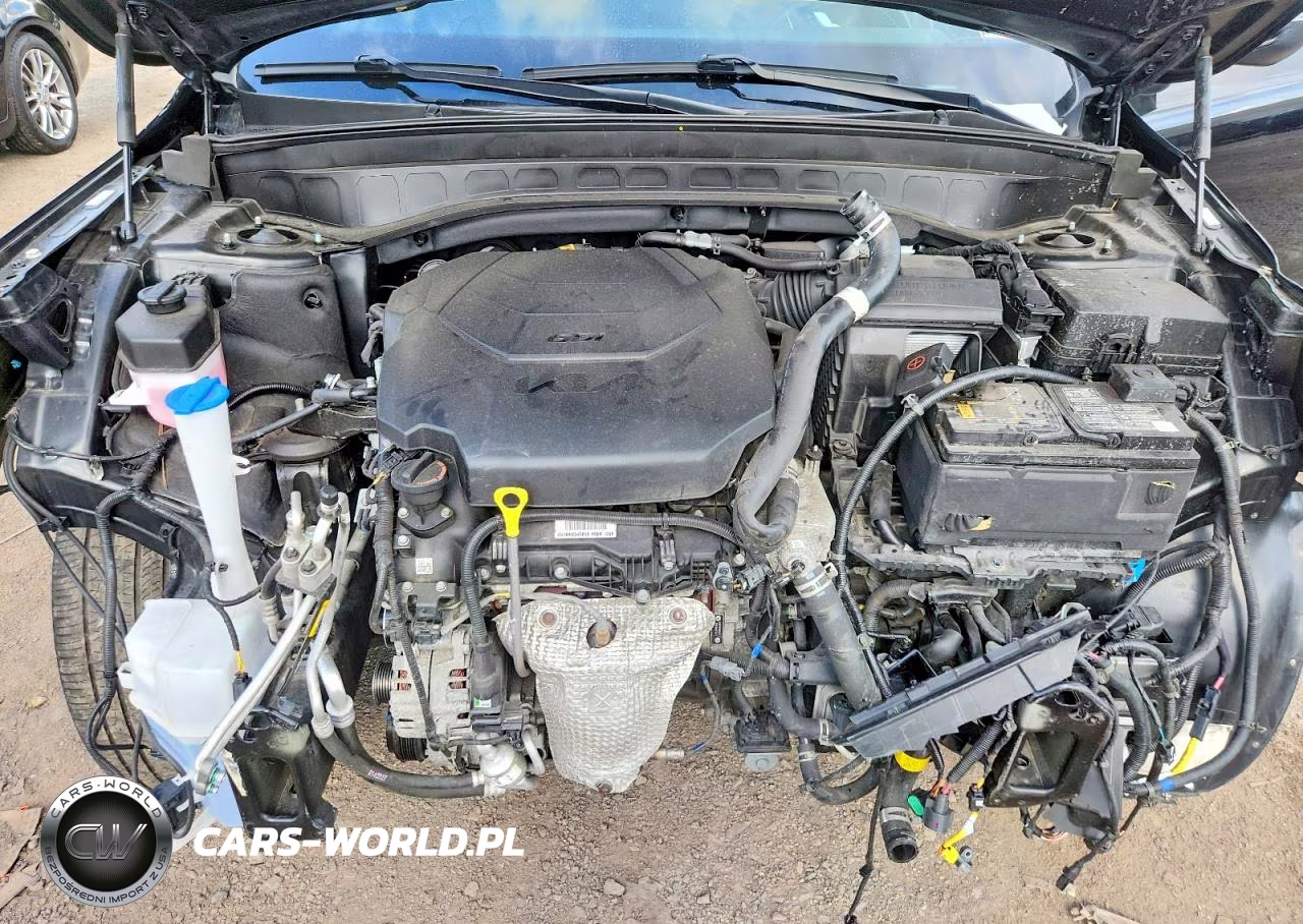 2023 Kia Telluride S VIN:5XYP6DGC3PG366317 - 12