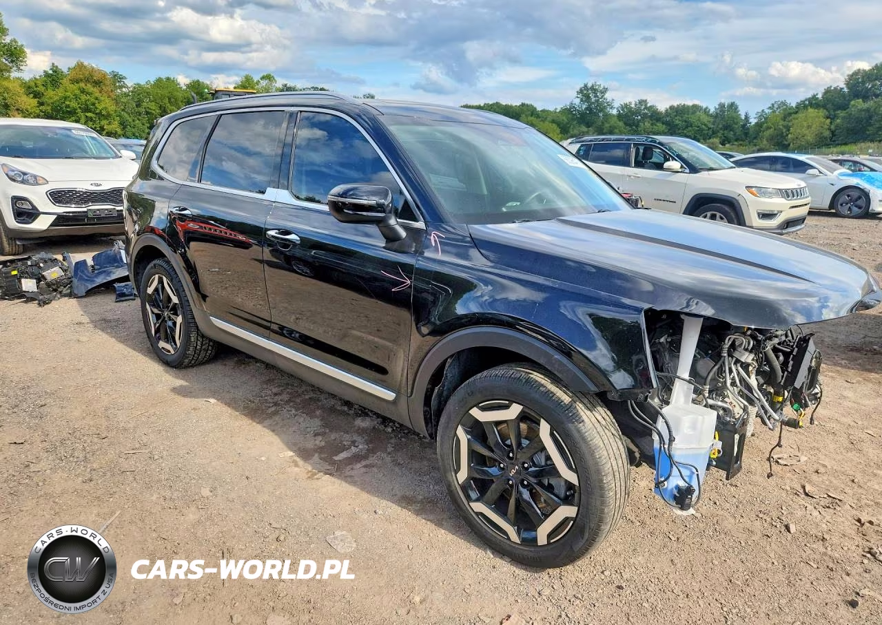 2023 Kia Telluride S VIN:5XYP6DGC3PG366317 - 4