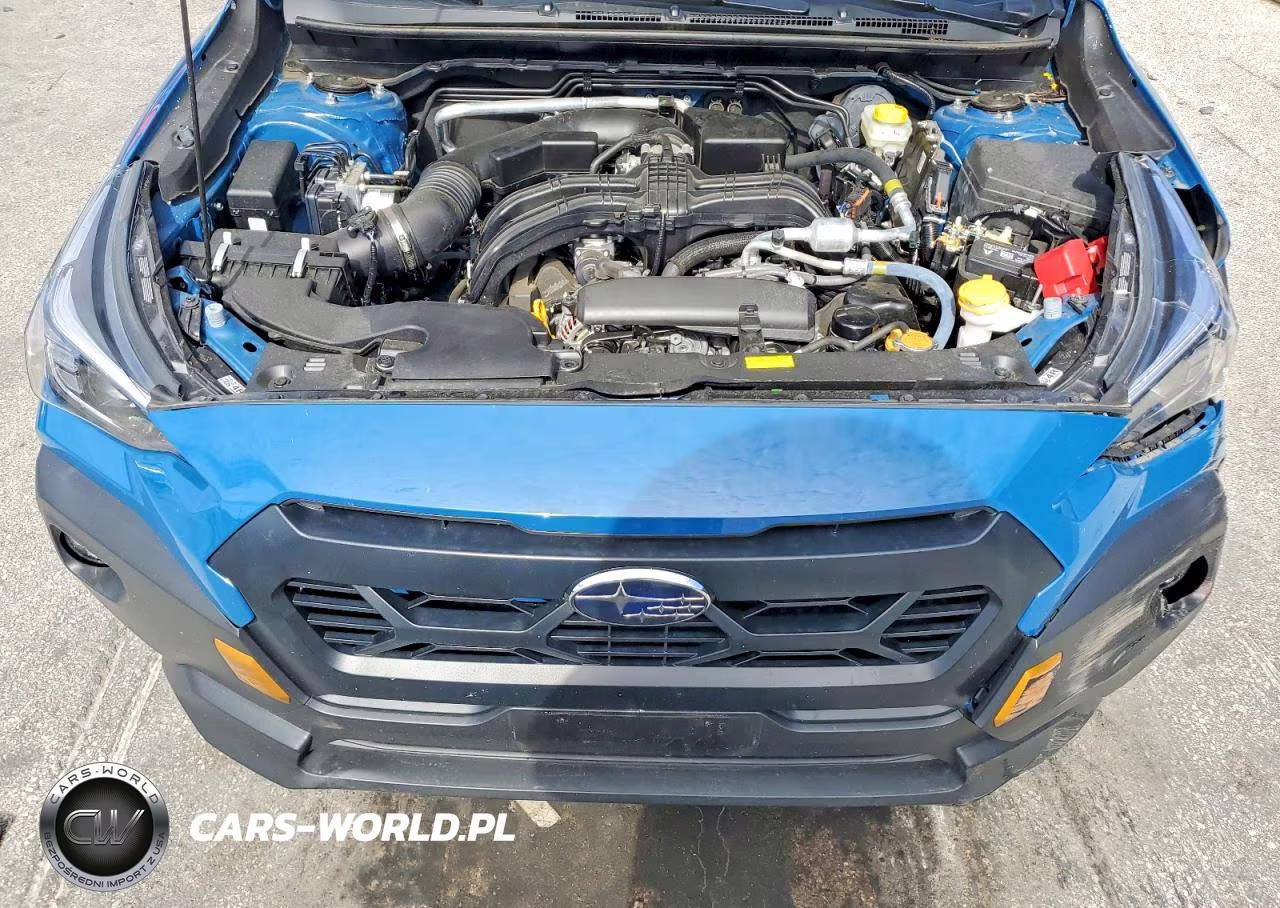 2025 Subaru Crosstrek Wilderness VIN:4S4GUHU69S3762370 - 12
