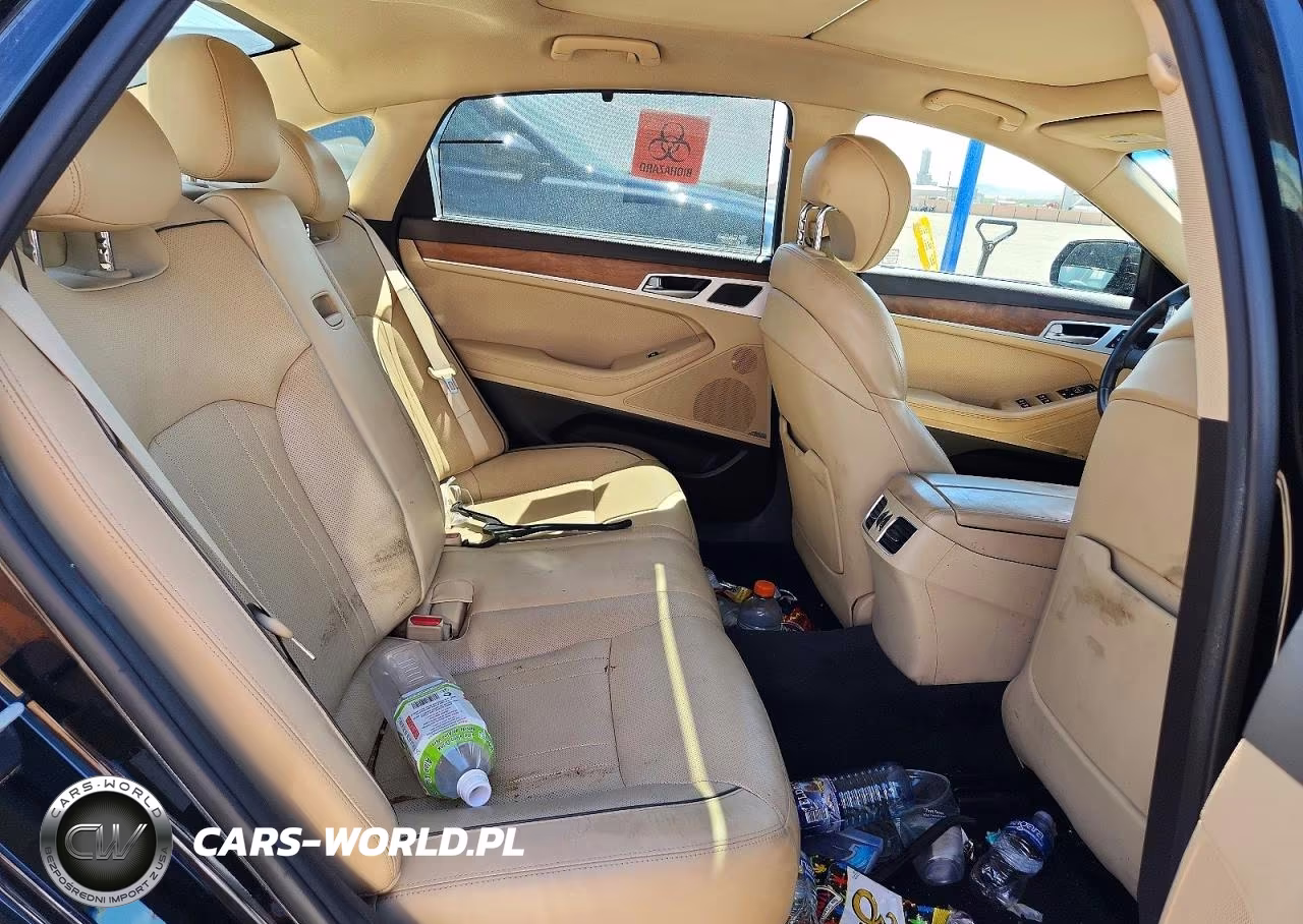 2017 Genesis G80 3.8 VIN:KMHGN4JE5HU185633 - 10