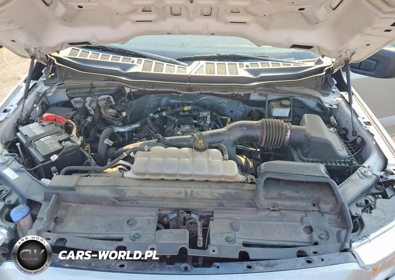 2021 Ford F150 Supercrew VIN:1FTEW1CP3MFA53684 - 11