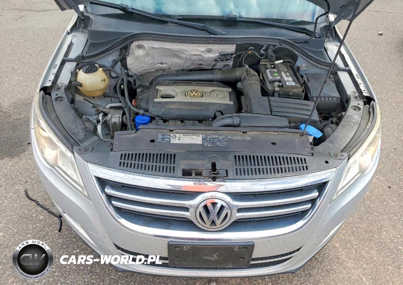 2010 Volkswagen Tiguan Se VIN:WVGBV7AX9AW510212 - 12
