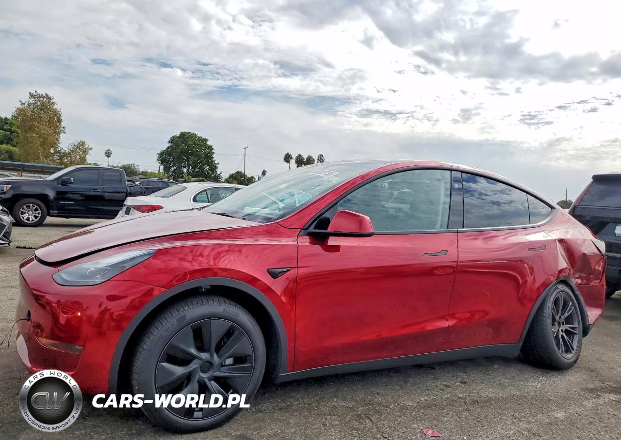 2025 Tesla Model Y VIN:7SAYGDED7SF221040 - 1