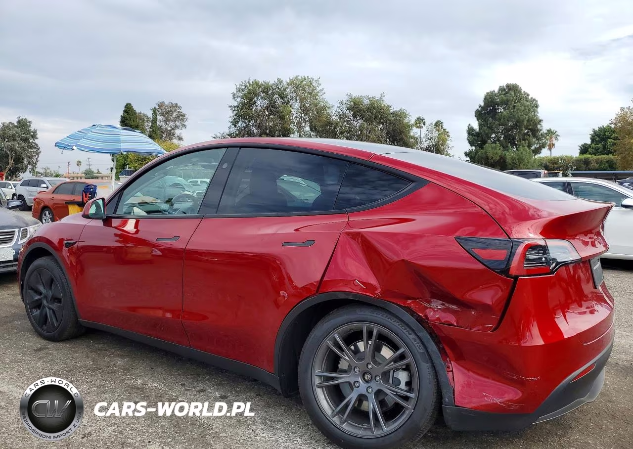 2025 Tesla Model Y VIN:7SAYGDED7SF221040 - 2