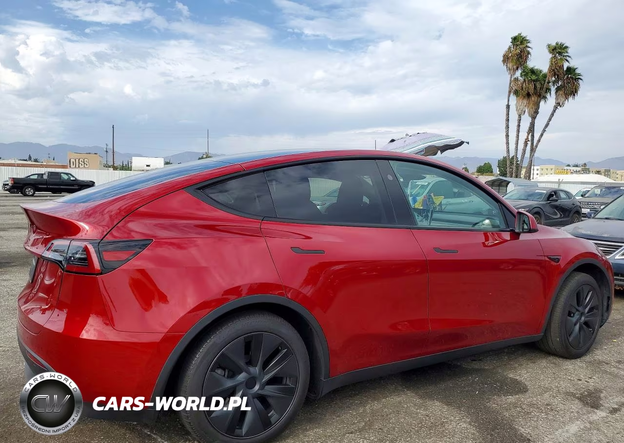 2025 Tesla Model Y VIN:7SAYGDED7SF221040 - 3