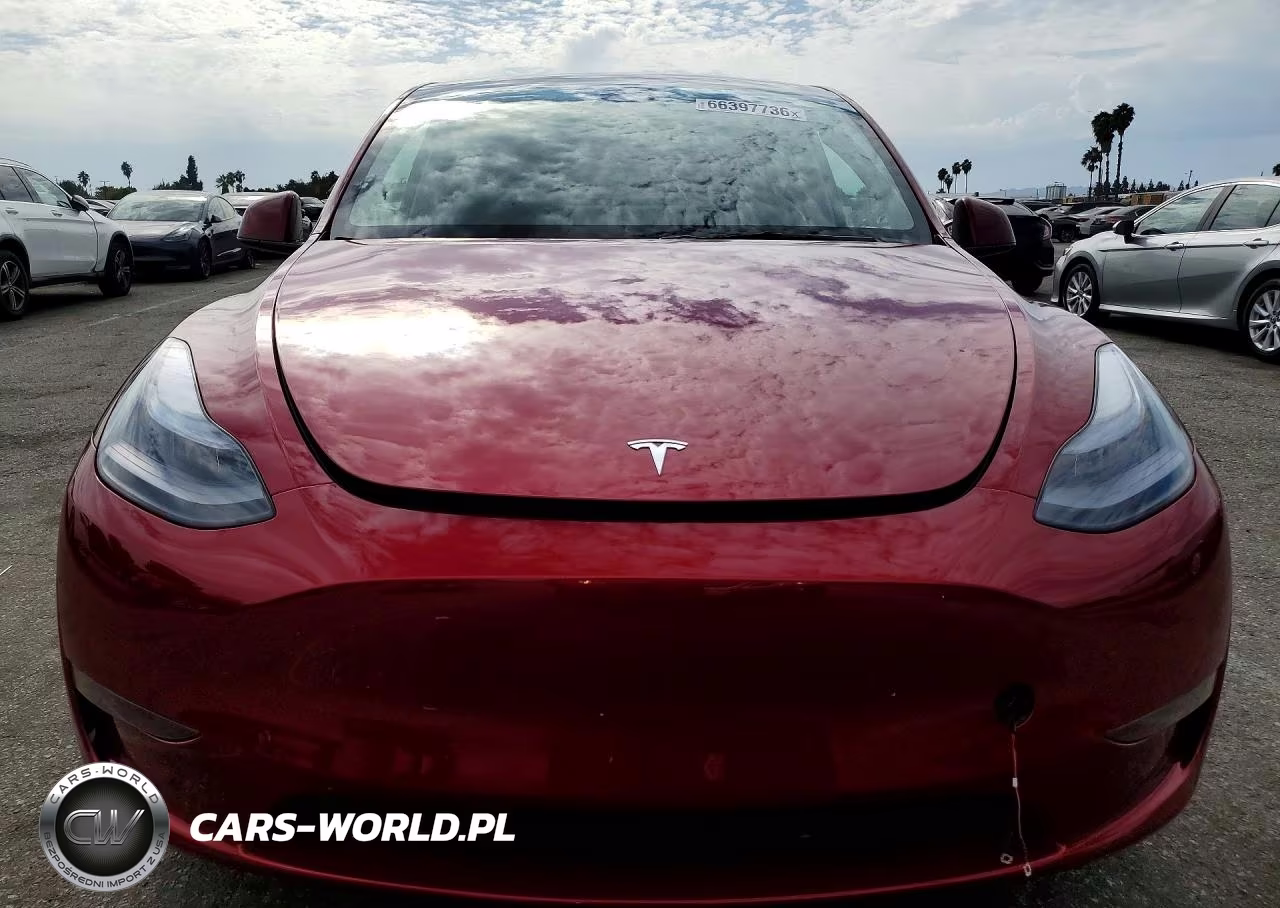 2025 Tesla Model Y VIN:7SAYGDED7SF221040 - 5