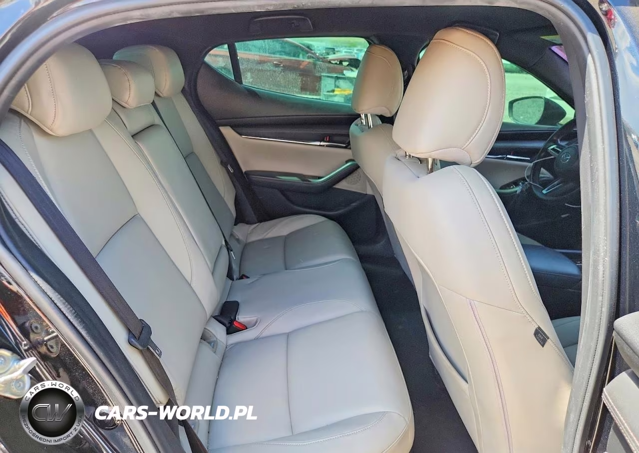 2019 Mazda 3 VIN:JM1BPAJM3K1121209 - 10