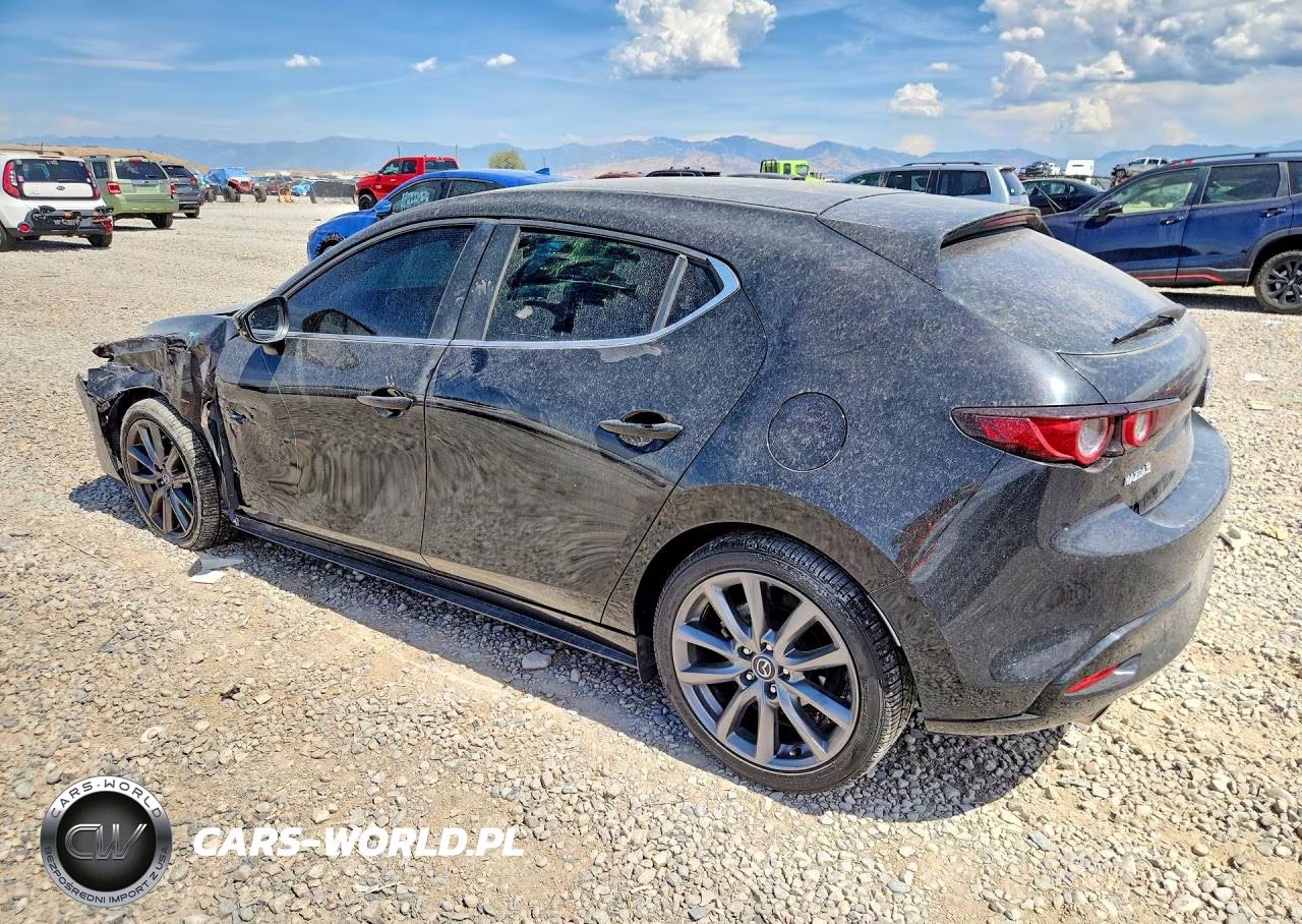 2019 Mazda 3 VIN:JM1BPAJM3K1121209 - 2