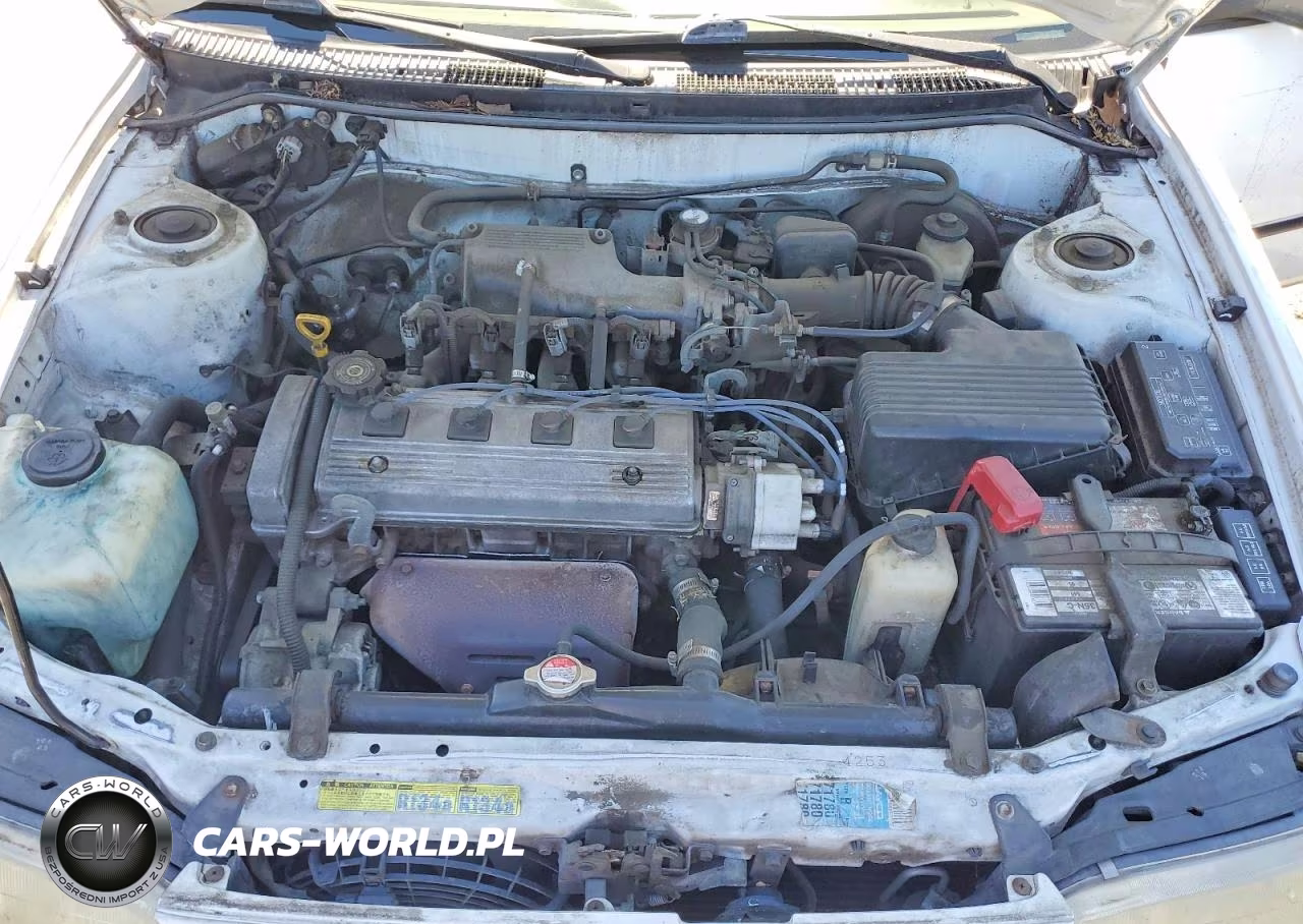 1996 Toyota Corolla Base VIN:1NXBA02E3TZ387599 - 11