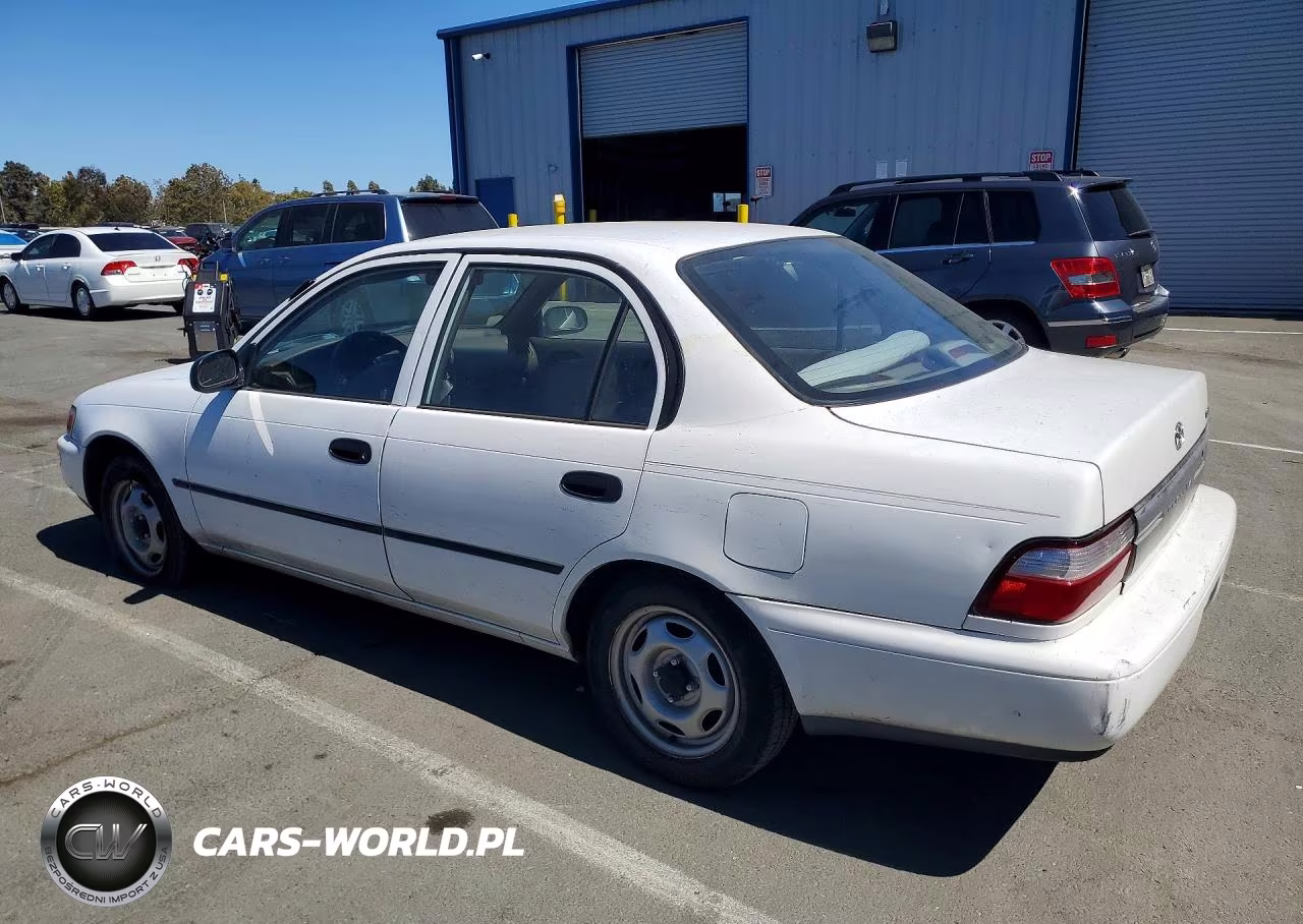 1996 Toyota Corolla Base VIN:1NXBA02E3TZ387599 - 2