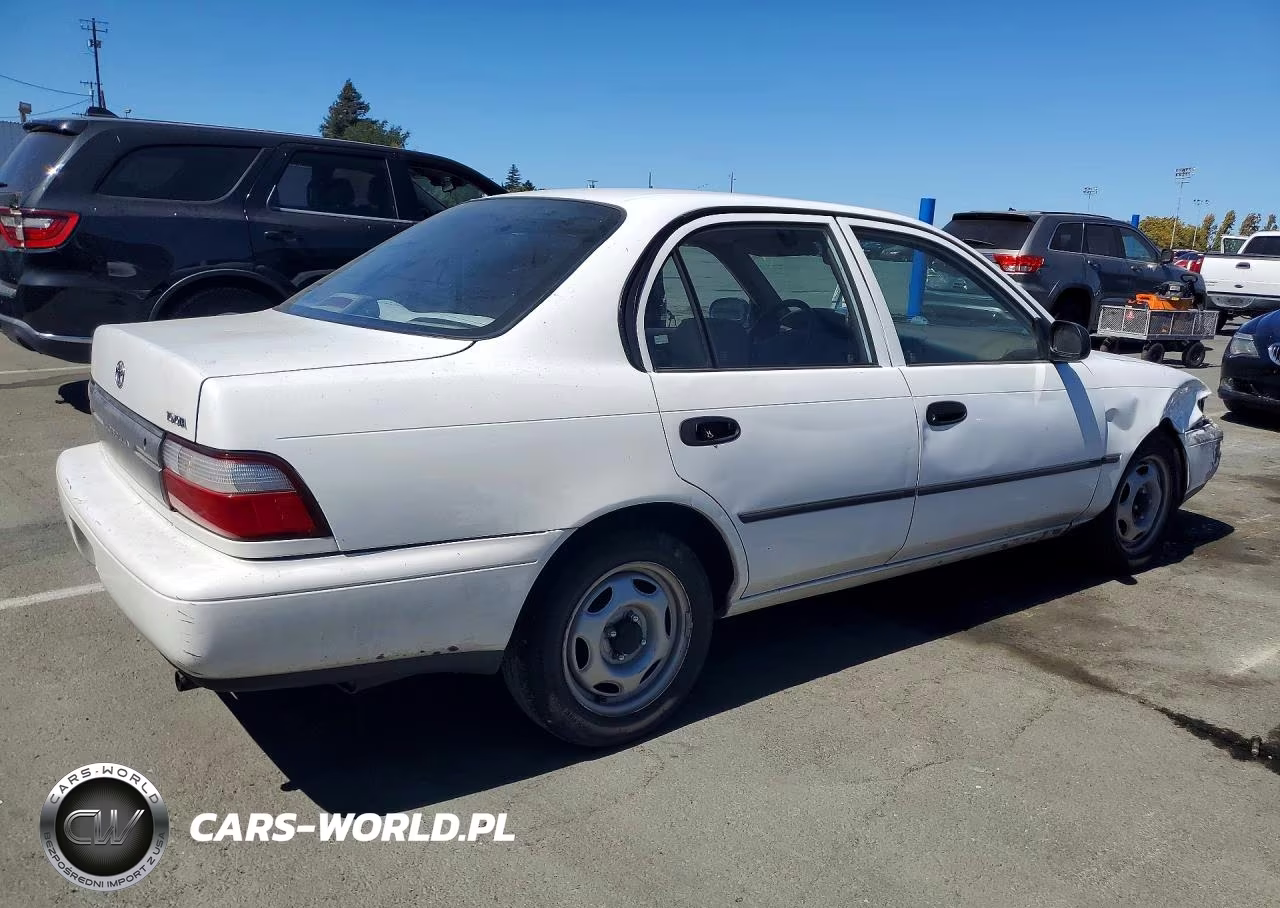 1996 Toyota Corolla Base VIN:1NXBA02E3TZ387599 - 3