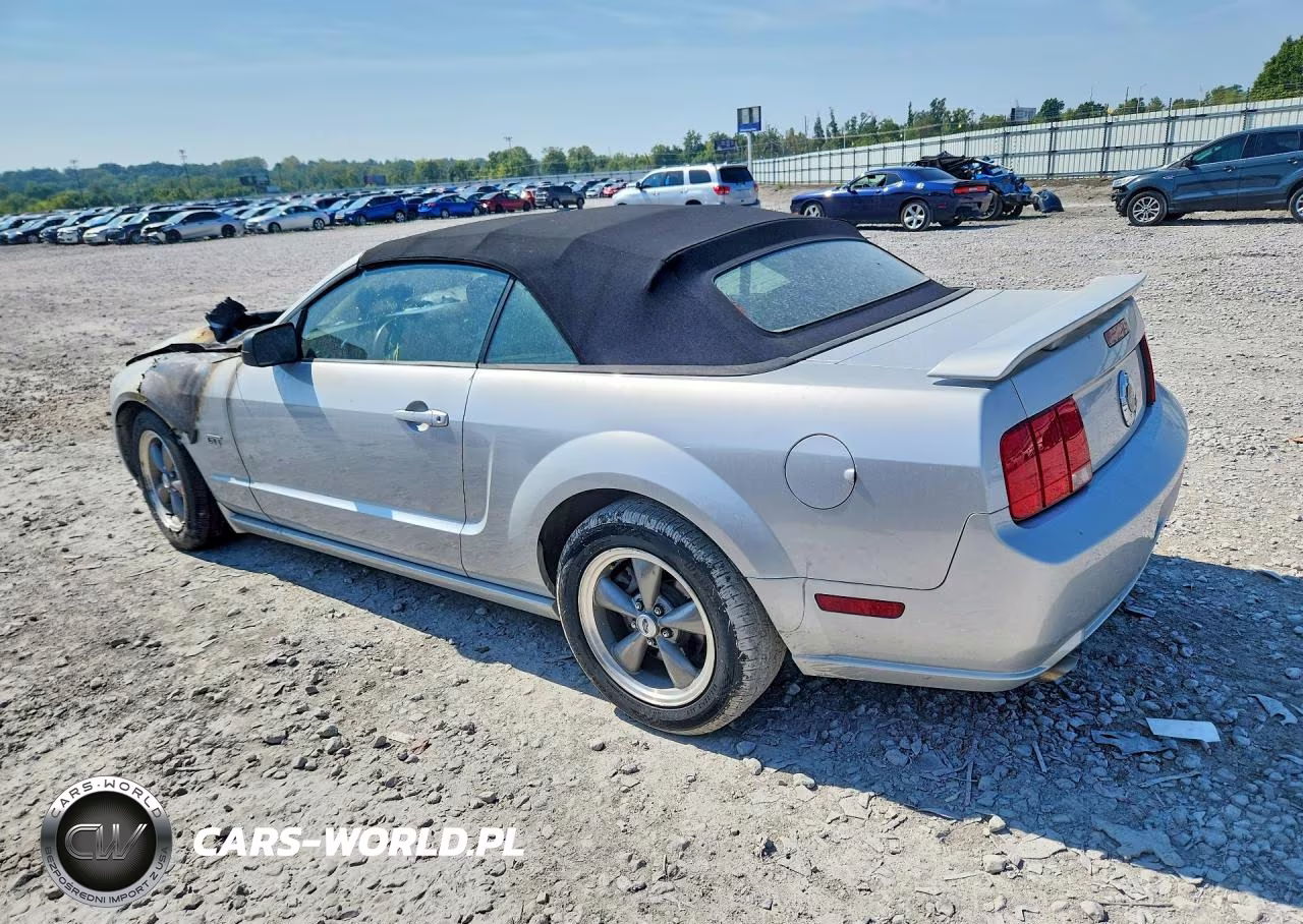 2006 Ford Mustang Gt VIN:1ZVHT85H965146266 - 2