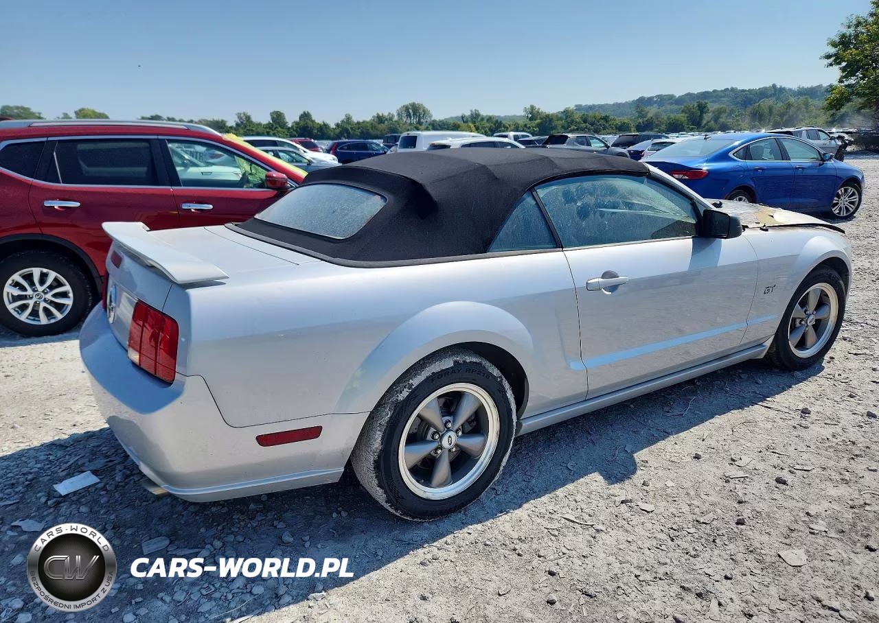 2006 Ford Mustang Gt VIN:1ZVHT85H965146266 - 3