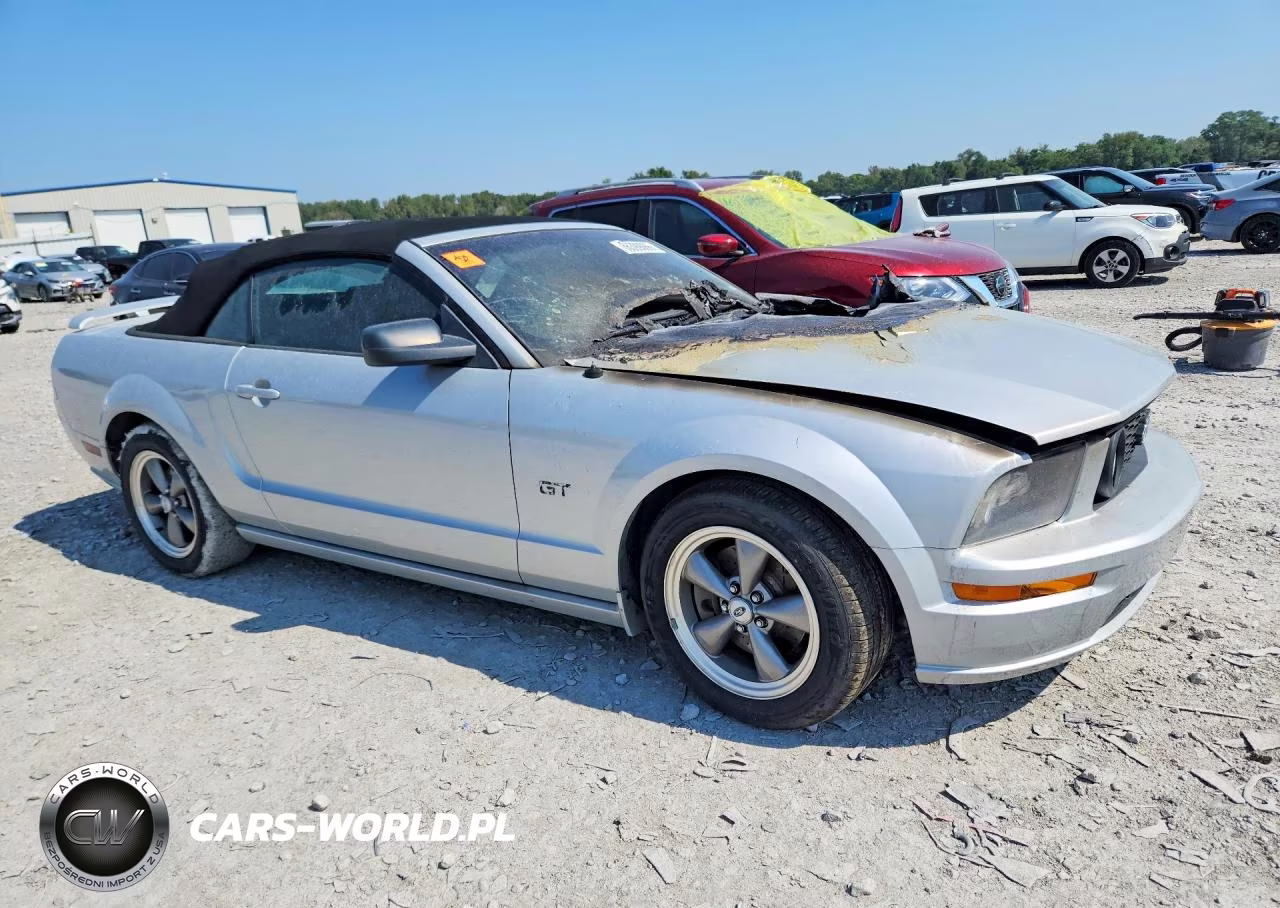 2006 Ford Mustang Gt VIN:1ZVHT85H965146266 - 4