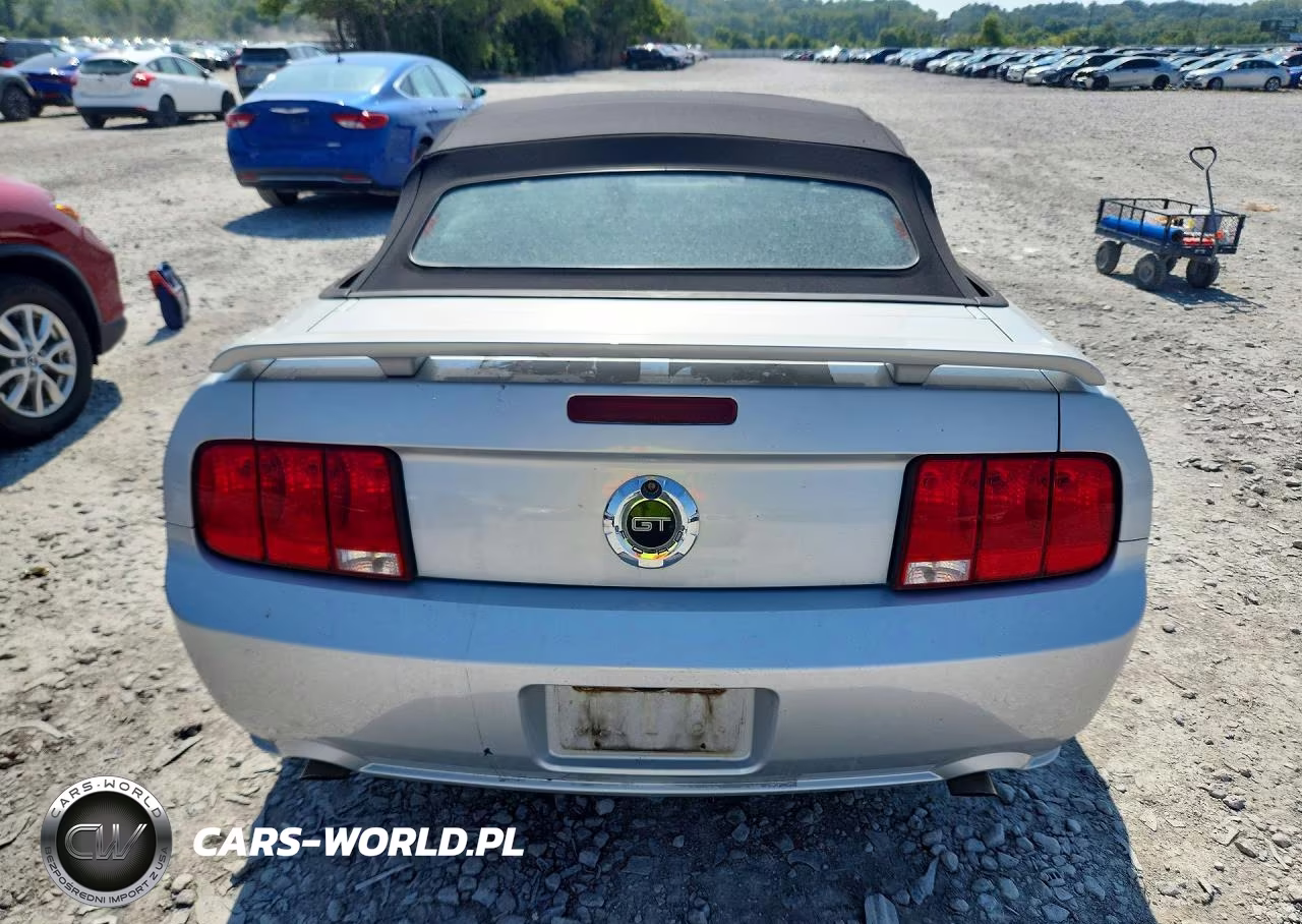 2006 Ford Mustang Gt VIN:1ZVHT85H965146266 - 6
