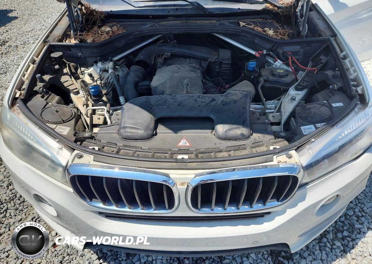 2015 BMW X5 xDrive35D VIN:5UXKS4C58F0N08371 - 12